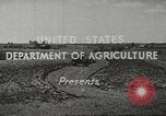 Image of agriculture activities United States USA, 1945, second 3 stock footage video 65675058165