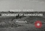 Image of agriculture activities United States USA, 1945, second 7 stock footage video 65675058165