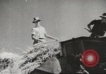 Image of America increases agricultural production during World War 2 United States USA, 1945, second 36 stock footage video 65675058166