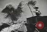 Image of America increases agricultural production during World War 2 United States USA, 1945, second 38 stock footage video 65675058166