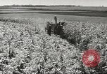 Image of agriculture activities United States USA, 1946, second 8 stock footage video 65675058167