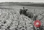 Image of agriculture activities United States USA, 1946, second 9 stock footage video 65675058167
