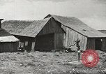 Image of agriculture activities United States USA, 1946, second 26 stock footage video 65675058167