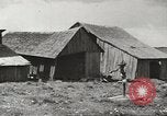 Image of agriculture activities United States USA, 1946, second 27 stock footage video 65675058167