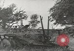 Image of agriculture activities United States USA, 1946, second 32 stock footage video 65675058167