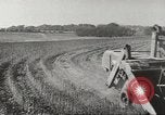 Image of agriculture activities United States USA, 1945, second 34 stock footage video 65675058168