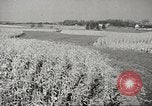 Image of agriculture activities United States USA, 1945, second 35 stock footage video 65675058168