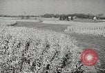 Image of agriculture activities United States USA, 1945, second 36 stock footage video 65675058168
