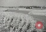 Image of agriculture activities United States USA, 1945, second 37 stock footage video 65675058168