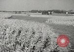 Image of agriculture activities United States USA, 1945, second 38 stock footage video 65675058168