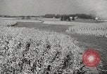 Image of agriculture activities United States USA, 1945, second 39 stock footage video 65675058168