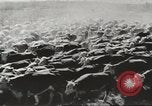 Image of agriculture activities United States USA, 1945, second 43 stock footage video 65675058168
