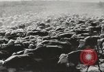 Image of agriculture activities United States USA, 1945, second 44 stock footage video 65675058168