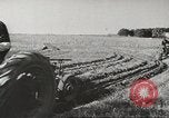 Image of agriculture activities United States USA, 1945, second 54 stock footage video 65675058168