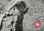 Image of agriculture activities United States USA, 1945, second 58 stock footage video 65675058168