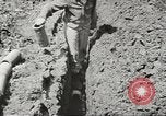 Image of agriculture activities United States USA, 1945, second 59 stock footage video 65675058168