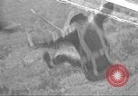Standbild Office of Strategic Services Birma, 1942, aus Sekunde 1 historischem Filmmaterial Videoclip 65675058176