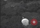 Standbild Office of Strategic Services Birma, 1942, aus Sekunde 25 historischem Filmmaterial Videoclip 65675058176