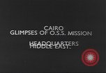 Image of Office of Strategic Services Middle East, 1945, second 19 stock footage video 65675058177