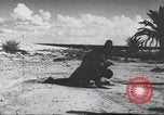 Image of Office of Strategic Services Cairo Egypt, 1945, second 19 stock footage video 65675058180
