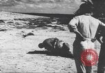 Image of Office of Strategic Services Cairo Egypt, 1945, second 28 stock footage video 65675058180