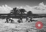 Image of Office of Strategic Services Cairo Egypt, 1945, second 32 stock footage video 65675058180