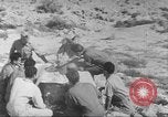 Image of Office of Strategic Services Cairo Egypt, 1945, second 52 stock footage video 65675058180