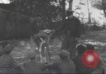Immagine di Rucker principali Alger Algeria, 1943, secondo 23 filmato di repertorio 65675058183