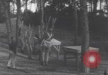 Immagine di Rucker principali Alger Algeria, 1943, secondo 28 filmato di repertorio 65675058183