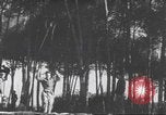 Immagine di Rucker principali Alger Algeria, 1943, secondo 32 filmato di repertorio 65675058183