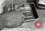 Image of Secret Intelligence agent European Theater, 1944, second 32 stock footage video 65675058188