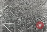 Image of Axis prisoners of war European Theater, 1944, second 46 stock footage video 65675058194