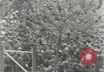 Image of Axis prisoners of war European Theater, 1944, second 48 stock footage video 65675058194