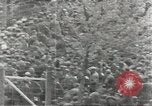 Image of Axis prisoners of war European Theater, 1944, second 50 stock footage video 65675058194