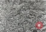 Image of Axis prisoners of war European Theater, 1944, second 62 stock footage video 65675058194