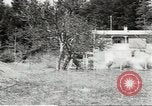 Image of Secret Intelligence men European Theater, 1944, second 31 stock footage video 65675058199