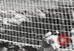 Image of Secret Intelligence men European Theater, 1944, second 38 stock footage video 65675058200