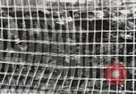 Image of Secret Intelligence men European Theater, 1944, second 41 stock footage video 65675058200