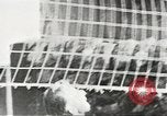 Image of Secret Intelligence men European Theater, 1944, second 50 stock footage video 65675058200