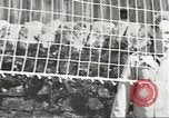 Image of Secret Intelligence men European Theater, 1944, second 57 stock footage video 65675058200