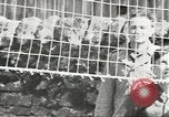 Image of Secret Intelligence men European Theater, 1944, second 58 stock footage video 65675058200