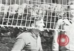 Image of Secret Intelligence men European Theater, 1944, second 60 stock footage video 65675058200