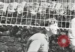 Image of Secret Intelligence men European Theater, 1944, second 61 stock footage video 65675058200