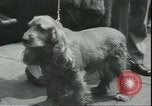 Standbild Woodward Stanley Kanada, 1950, aus Sekunde 19 historischem Filmmaterial Videoclip 65675058225