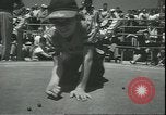 Image of marble game Asbury Park New Jersey USA, 1950, second 15 stock footage video 65675058227