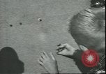 Image of marble game Asbury Park New Jersey USA, 1950, second 35 stock footage video 65675058227
