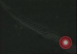Standbild USA Soldaten United States USA, 1942, aus Sekunde 26 historischem Filmmaterial Videoclip 65675058237
