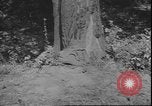 Standbild USA Soldaten United States USA, 1942, aus Sekunde 40 historischem Filmmaterial Videoclip 65675058241