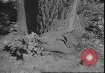 Standbild USA Soldaten United States USA, 1942, aus Sekunde 42 historischem Filmmaterial Videoclip 65675058241