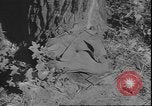 Standbild USA Soldaten United States USA, 1942, aus Sekunde 44 historischem Filmmaterial Videoclip 65675058241